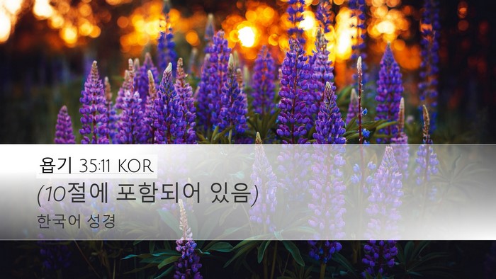 욥기 35:11 KOR Bible Verse Image