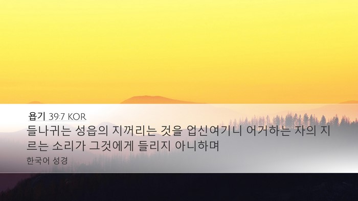 욥기 39:7 KOR Bible Verse Image