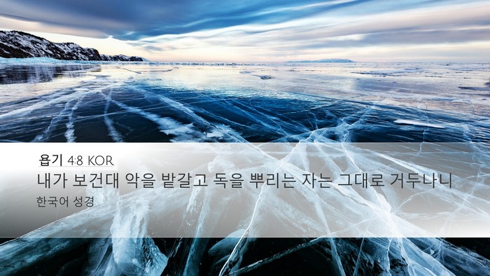 욥기 4:8 KOR Bible Verse Image