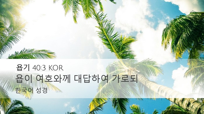욥기 40:3 KOR Bible Verse Image