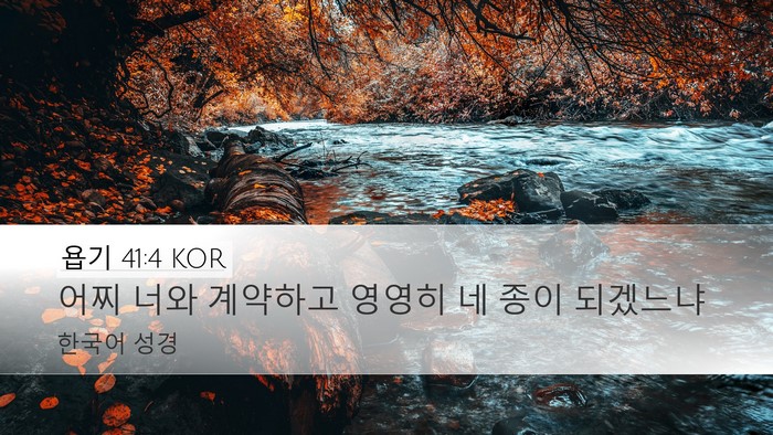 욥기 41:4 KOR Bible Verse Image