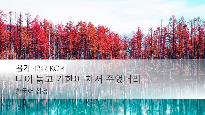 욥기 42:17 KOR Bible Verse Image