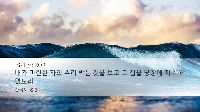 욥기 5:3 KOR Bible Verse Image