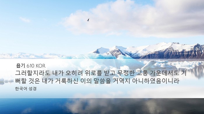 욥기 6:10 KOR Bible Verse Image