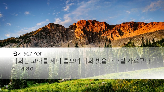 욥기 6:27 KOR Bible Verse Image