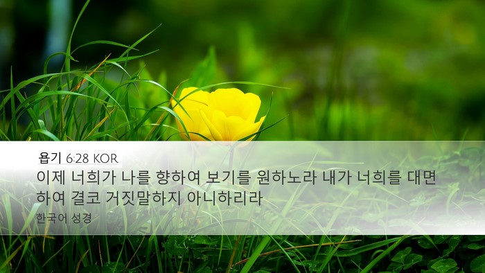욥기 6:28 KOR Bible Verse Image