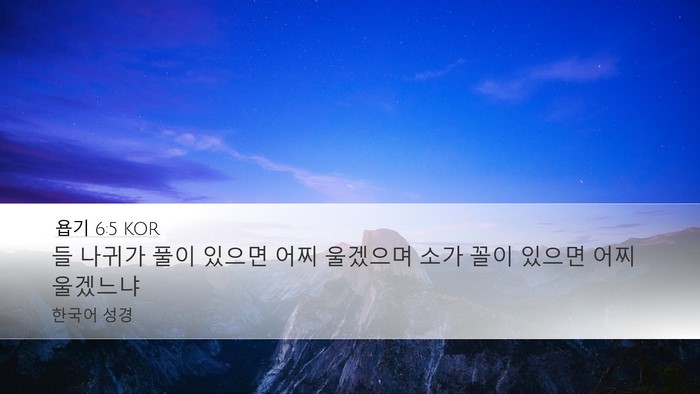 욥기 6:5 KOR Bible Verse Image