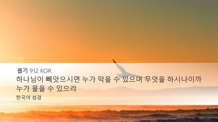 욥기 9:12 KOR Bible Verse Image
