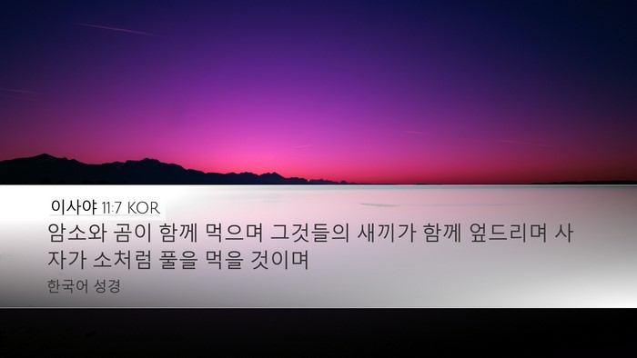 이사야 11:7 KOR Desktop Wallpaper - 암소와 곰이 함께 먹으며 그것들의 - Desktop Bible Verse Wallpaper