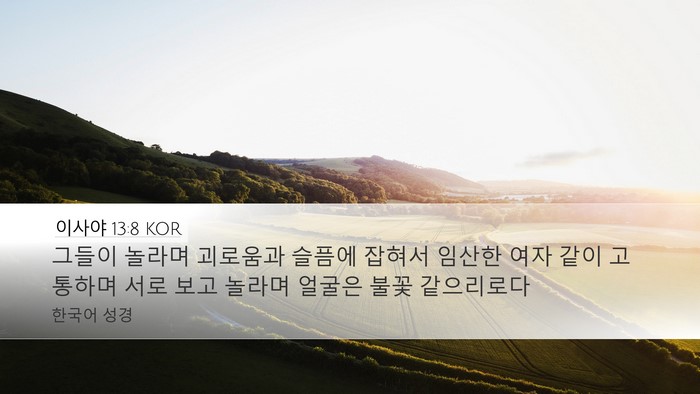이사야 13:8 KOR Bible Verse Image