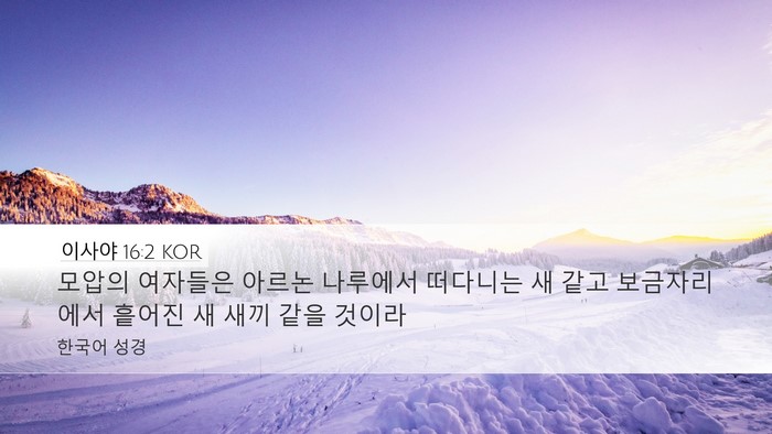 이사야 16:2 KOR Bible Verse Image