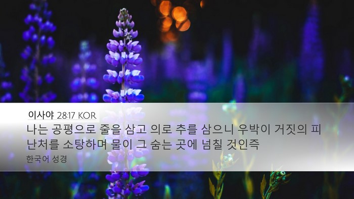 이사야 28:17 KOR Bible Verse Image