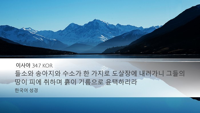 이사야 34:7 KOR Bible Verse Image