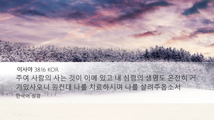 이사야 38:16 KOR Bible Verse Image