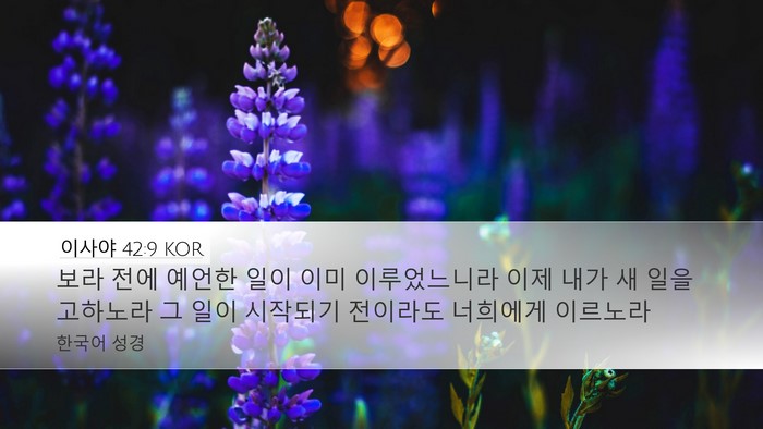이사야 42:9 KOR Bible Verse Image