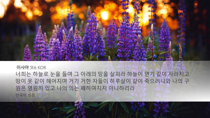 이사야 51:6 KOR Bible Verse Image