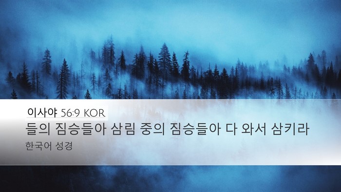 이사야 56:9 KOR Bible Verse Image