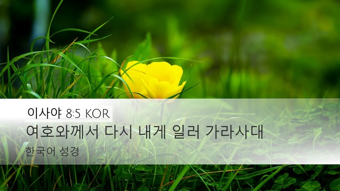 이사야 8:5 KOR Bible Verse Image
