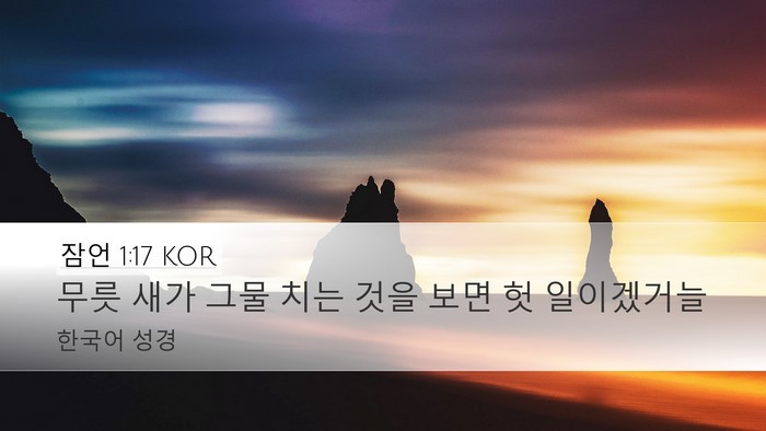 잠언 1:17 KOR Bible Verse Image