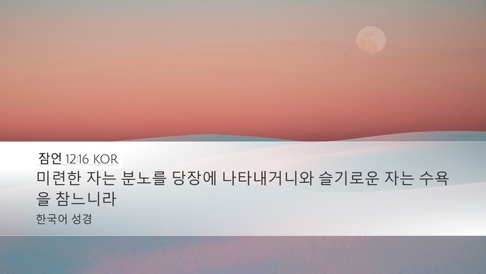 잠언 12:16 KOR Bible Verse Image