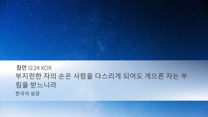 잠언 12:24 KOR Bible Verse Image