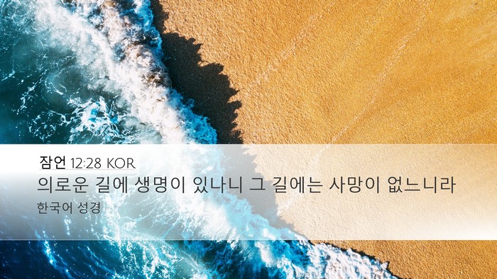 잠언 12:28 KOR Bible Verse Image