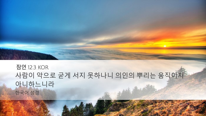 잠언 12:3 KOR Desktop Wallpaper - 사람이 악으로 굳게 서지 못하나니 - Desktop Bible Verse Wallpaper