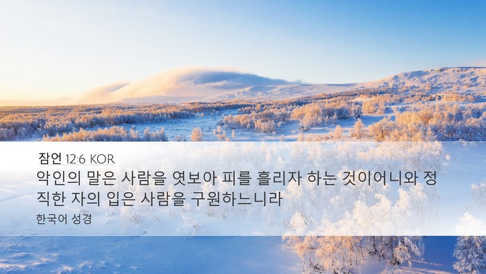 잠언 12:6 KOR Bible Verse Image