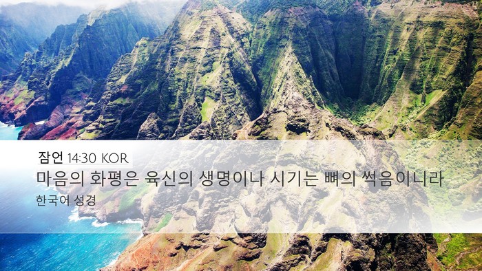 잠언 14:30 KOR Bible Verse Image