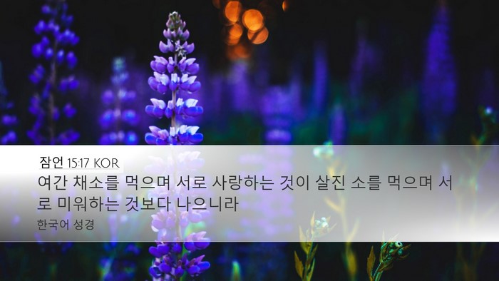 잠언 15:17 KOR Bible Verse Image