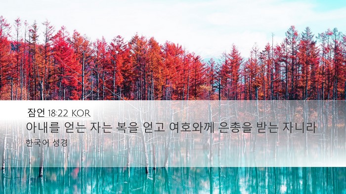 잠언 18:22 KOR Bible Verse Image