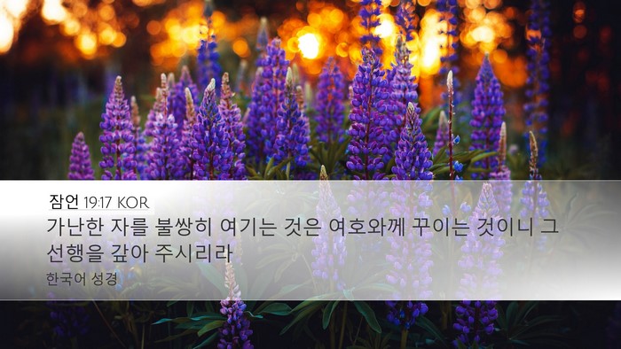 잠언 19:17 KOR Desktop Wallpaper - 가난한 자를 불쌍히 여기는 것은 - Desktop Bible Verse Wallpaper