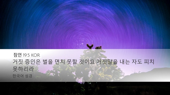 잠언 19:5 KOR Bible Verse Image