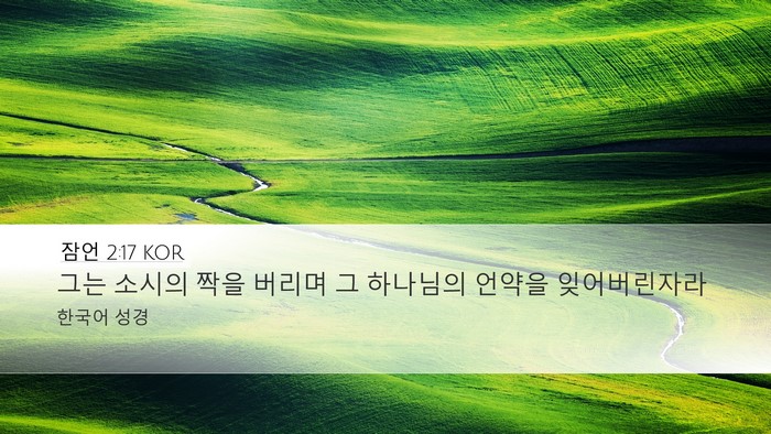 잠언 2:17 KOR Bible Verse Image