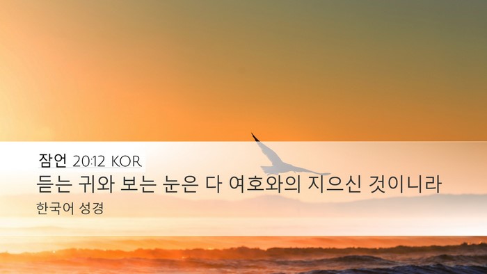 잠언 20:12 KOR Bible Verse Image