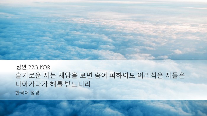 잠언 22:3 KOR Bible Verse Image