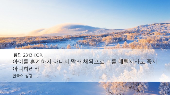 잠언 23:13 KOR Bible Verse Image