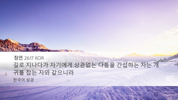 잠언 26:17 KOR Desktop Wallpaper - 길로 지나다가 자기에게 상관없는 - Desktop Bible Verse Wallpaper