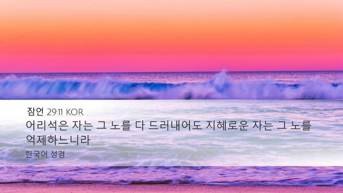 잠언 29:11 KOR Bible Verse Image