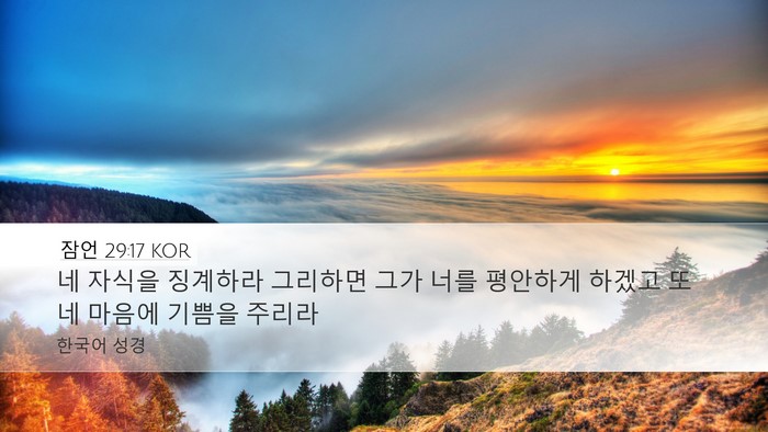 잠언 29:17 KOR Bible Verse Image