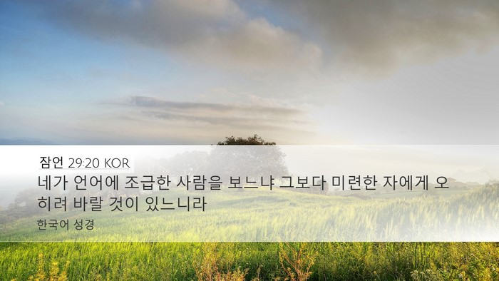 잠언 29:20 KOR Bible Verse Image
