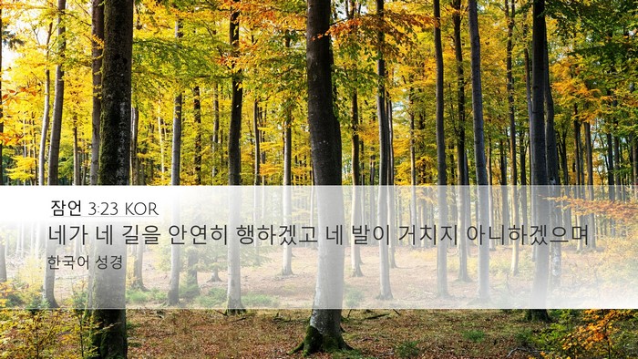잠언 3:23 KOR Bible Verse Image