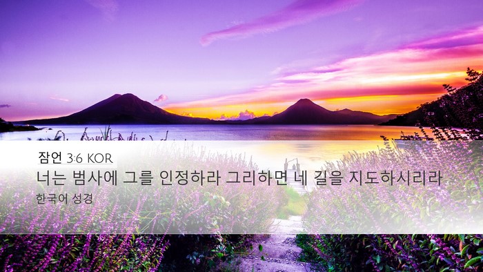 잠언 3:6 KOR Bible Verse Image