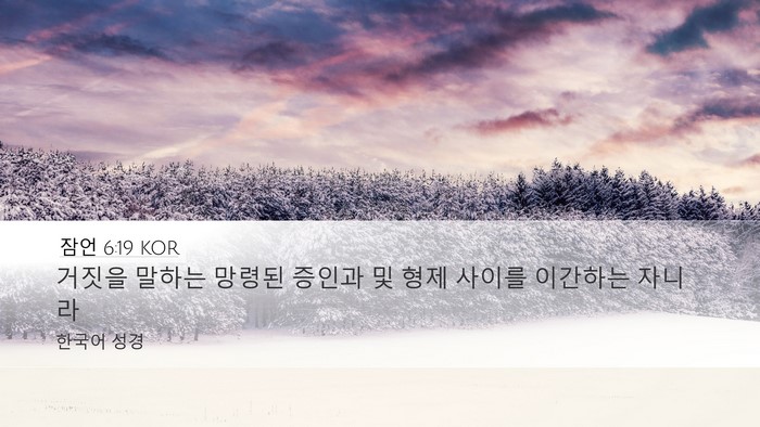 잠언 6:19 KOR Bible Verse Image