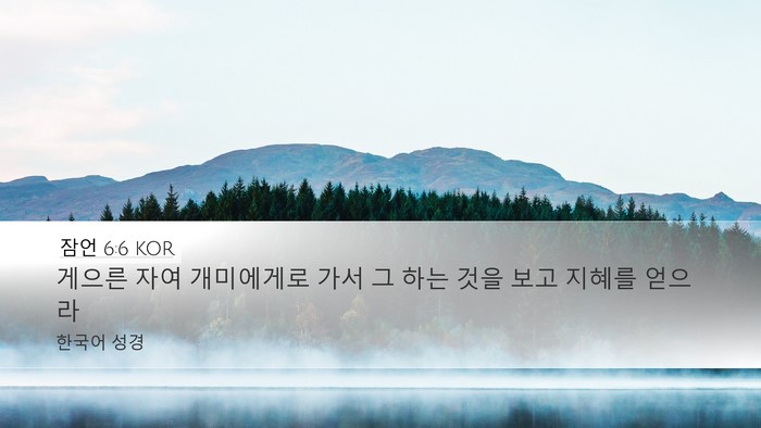 잠언 6:6 KOR Bible Verse Image