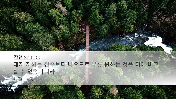 잠언 8:11 KOR Bible Verse Image