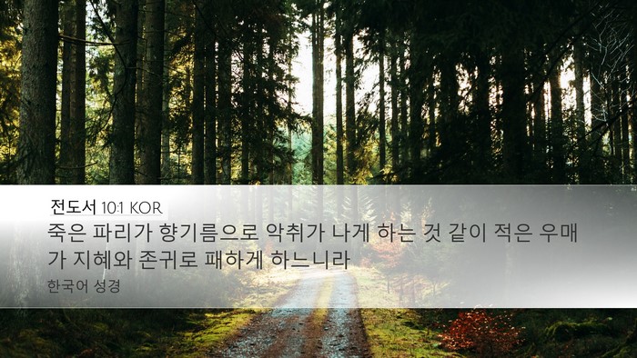 전도서 10:1 KOR Bible Verse Image