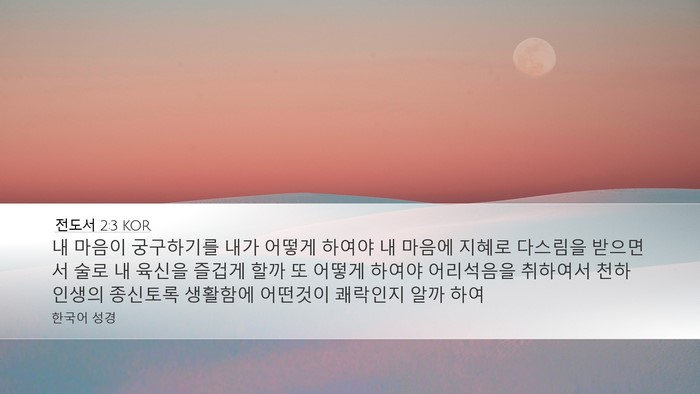전도서 2:3 KOR Desktop Wallpaper - 내 마음이 궁구하기를 내가 어떻게 - Desktop Bible Verse Wallpaper
