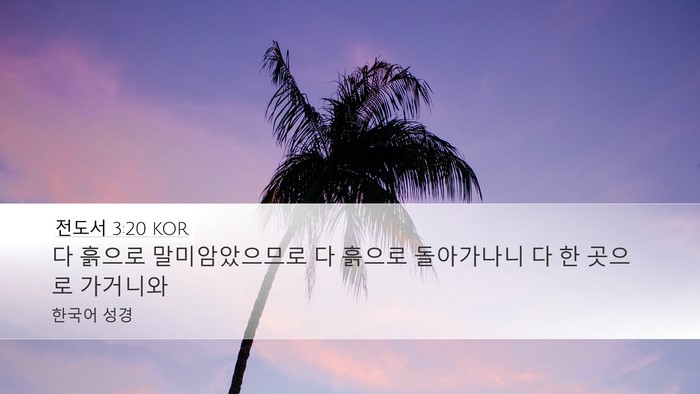 전도서 3:20 KOR Desktop Wallpaper - 다 흙으로 말미암았으므로 다 흙으로 - Desktop Bible Verse Wallpaper