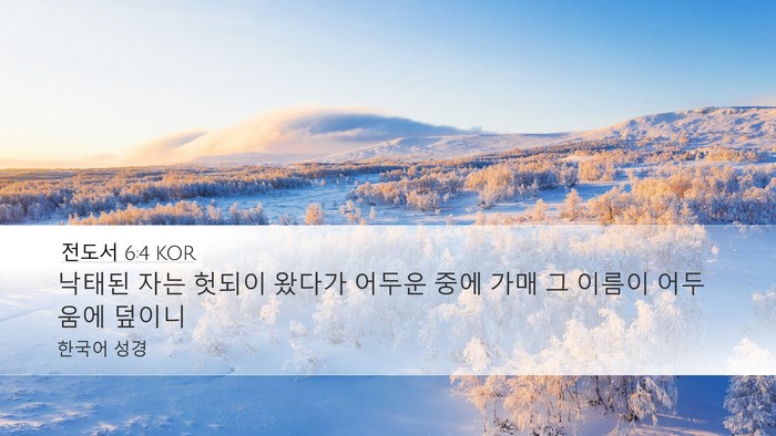 전도서 6:4 KOR Desktop Wallpaper - 낙태된 자는 헛되이 왔다가 어두운 - Desktop Bible Verse Wallpaper